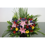 Grand Harmony Red Lily and Gerbera Opening Arrangement