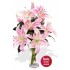 4 Oriental Pink Lily Vase Bouquet