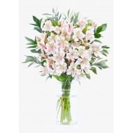 Alstroemeria Bouquet - The Isa